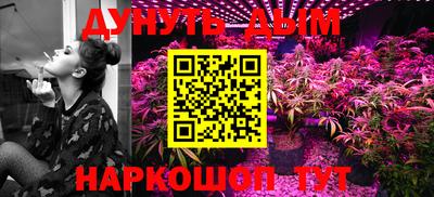 шишки Жуковский